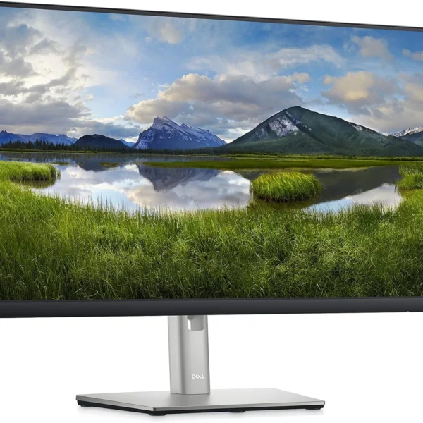 Dell P2422H 24-inch IPS Monitor